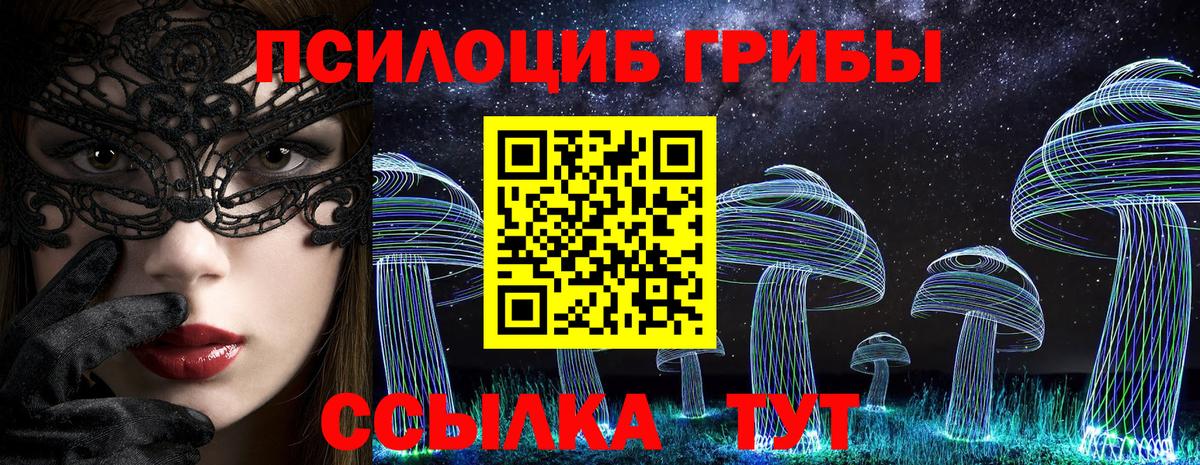 Кунгур  Псилоцибиновые грибы MAGIC MUSHROOMS  Вход с VPN  Псилоцибиновые грибы Cubensis 